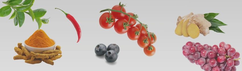 fitokemikalije in antioksidanti