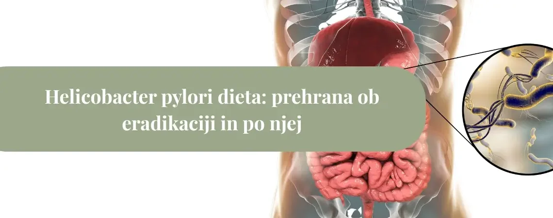 helicobacter pylori dieta