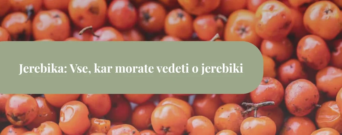 jerebika