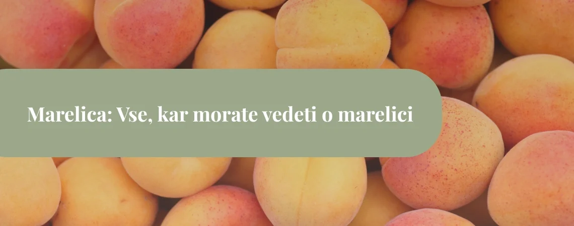 marelica