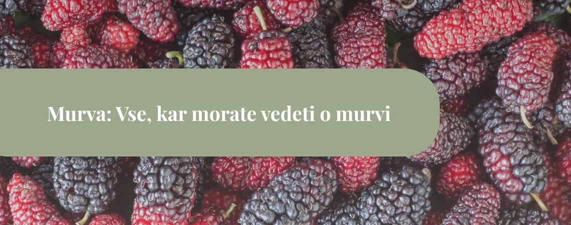 murva
