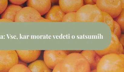 satsuma
