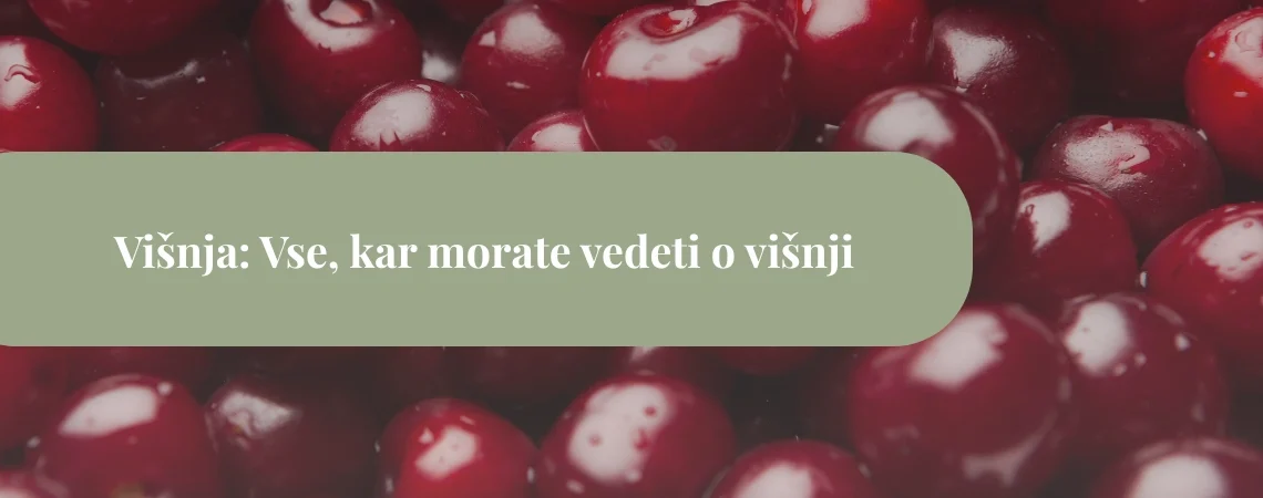 višnja