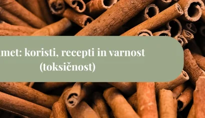 Kup cimetovih palčk v ozadju z naslovnim pasom “Cimet: koristi, recepti in varnost (toksičnost)”.
