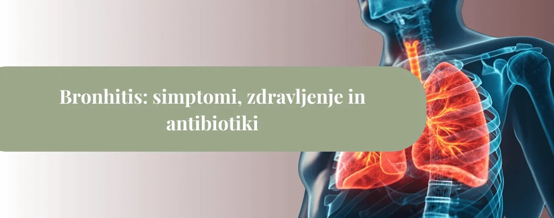 Ilustracija prsnega koša z oranžno-rdečimi, vnetimi bronhiji in pljuči, čez katero je zelenkast naslovni pas z napisom “Bronhitis: simptomi, zdravljenje in antibiotiki”.