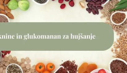 Različna živila bogata z vlakninami – sadje, zelenjava, stročnice, semena in žita – razporejena okoli napisa »Vlaknine in glukomanan za hujšanje«.