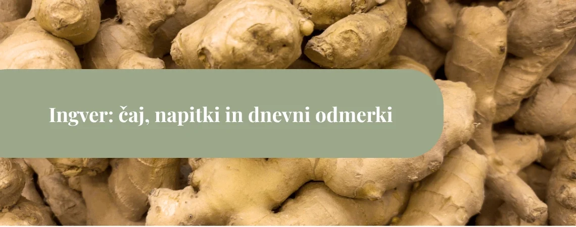 Sveža korenika ingverja v makro posnetku z zelenim naslovnim pasom »Ingver: čaj, napitki in dnevni odmerki«.