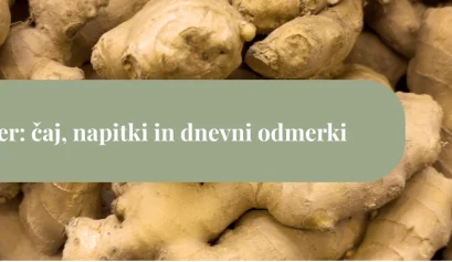 Sveža korenika ingverja v makro posnetku z zelenim naslovnim pasom »Ingver: čaj, napitki in dnevni odmerki«.