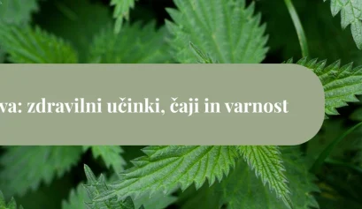 Zeleni listi koprive v bližnjem posnetku z naslovnim trakom »Kopriva: zdravilni učinki, čaji in varnost«.