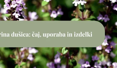 Cvetovi materine dušice v vijolično-rožnatih odtenkih na zamegljenem zelenem ozadju z naslovnim zelenim pasom »Materina dušica: čaj, uporaba in izdelki«.