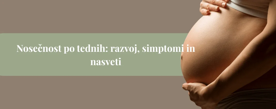 Nosečnica, ki drži trebuh z obema rokama, kot naslovna slika članka o nosečnosti po tednih.