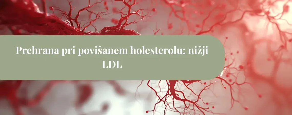 prehrana pri povišanem holesterolu