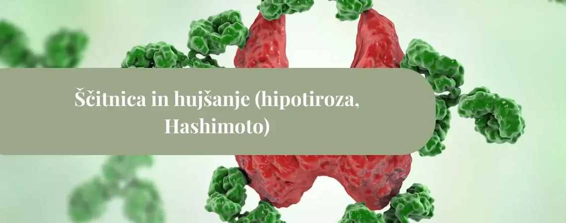 Ščitnica in hujšanje: hipotiroza, Hashimoto, nasveti