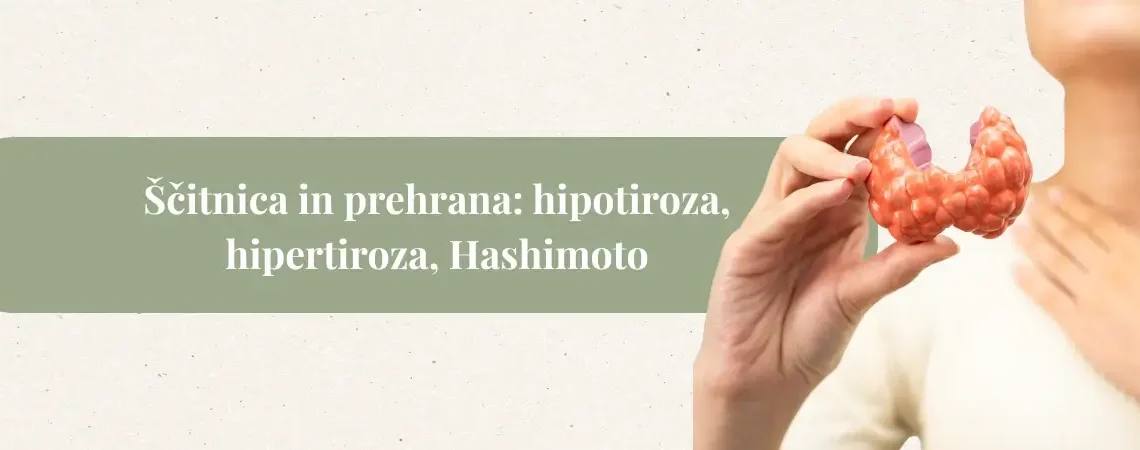 Ščitnica in prehrana: hipotiroza, hipertiroza, Hashimoto