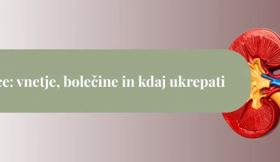Ilustracija anatomsko prikazanih ledvic z označenimi žilami in sečevodi na nežnem gradientnem ozadju, kot naslovna slika članka o vnetju ledvic.
