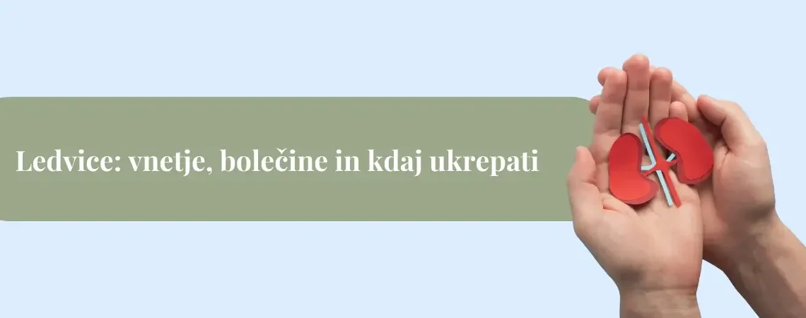 Vnetje ledvic simptomi: znaki, bolečine in ukrepanje